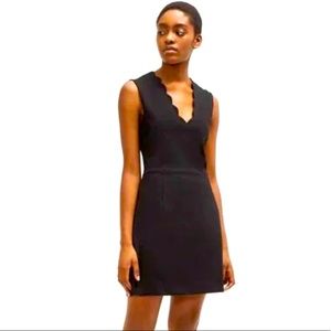 NWT Luna French Connection Dress